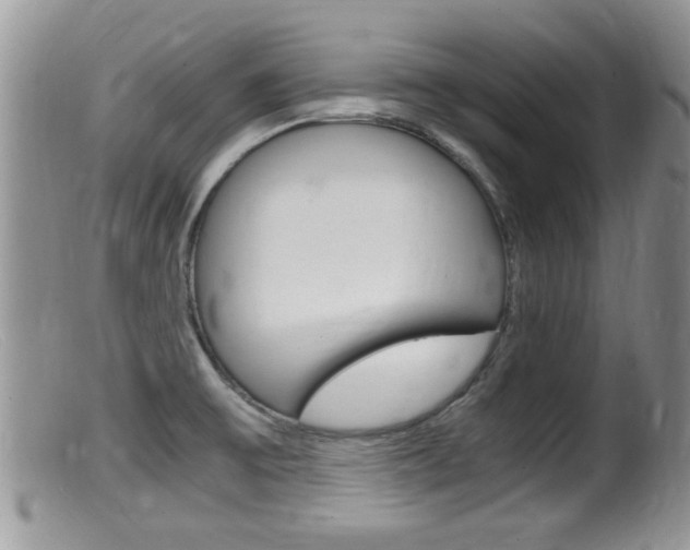 X0000099531475200805160713