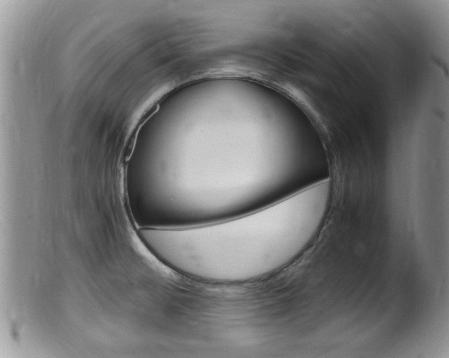 X0000099531476200805160713