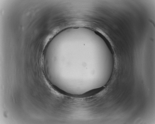 X0000099531477200805160713