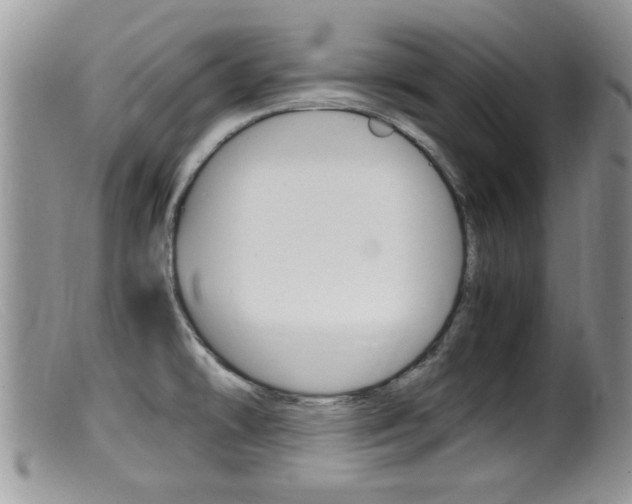 X0000099531478200805160713