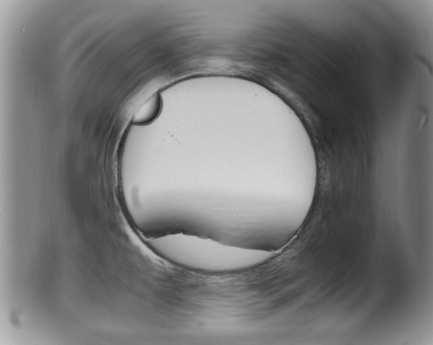X0000099531479200805160713