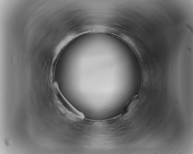 X0000099531480200805160713