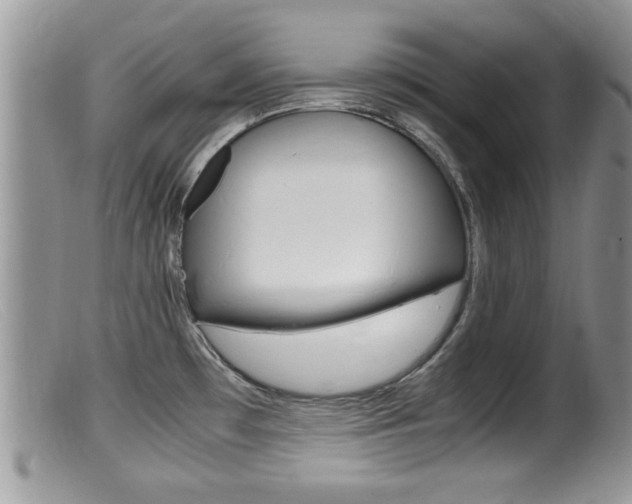 X0000099531481200805160713
