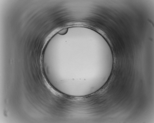 X0000099531482200805160713