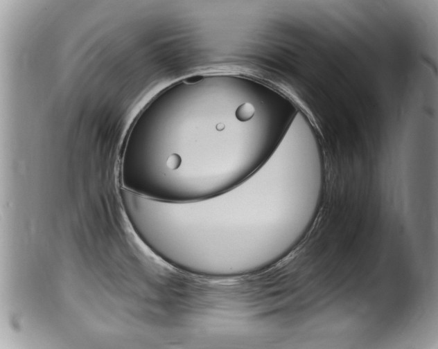 X0000099531484200805160713