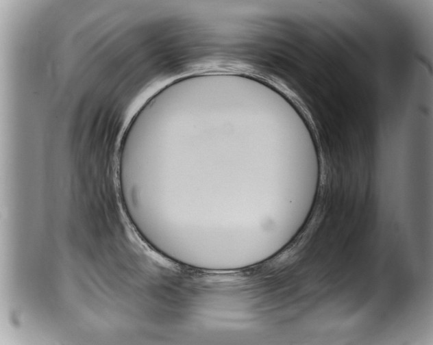 X0000099531486200805160713