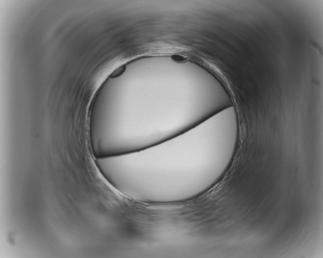 X0000099531487200805160713