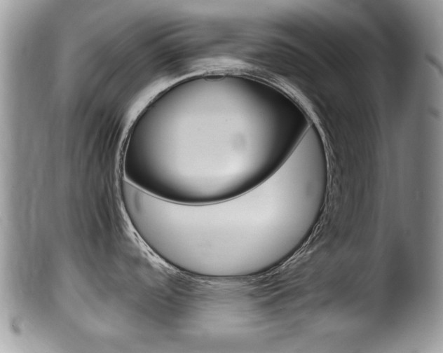 X0000099531488200805160713