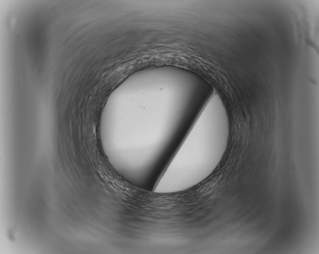 X0000099531489200805160712
