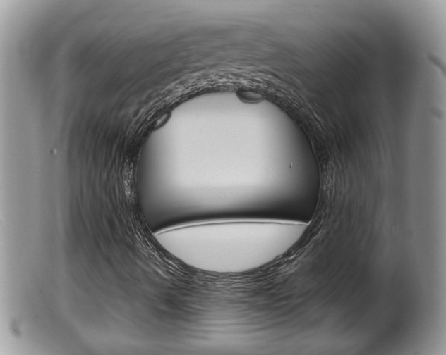 X0000099531490200805160712