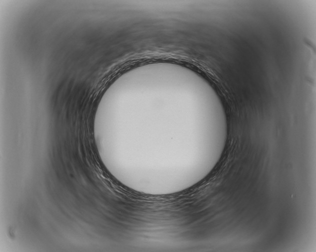 X0000099531492200805160712