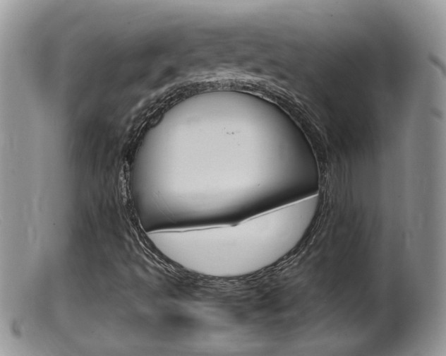 X0000099531493200805160712