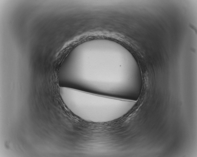 X0000099531494200805160712