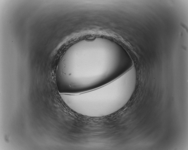 X0000099531495200805160712