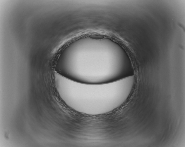 X0000099531496200805160712