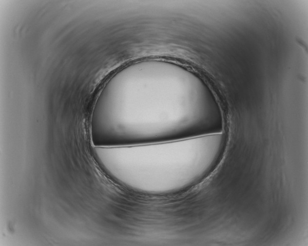 X0000099531497200805160712