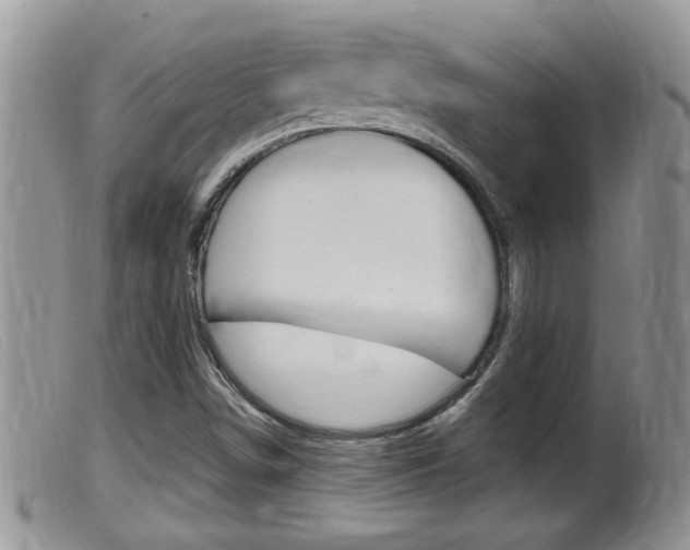 X0000099531498200805160712