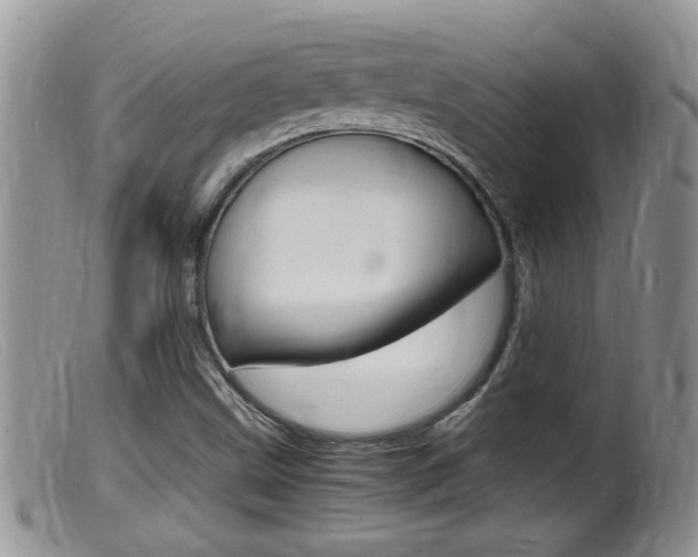 X0000099531499200805160712