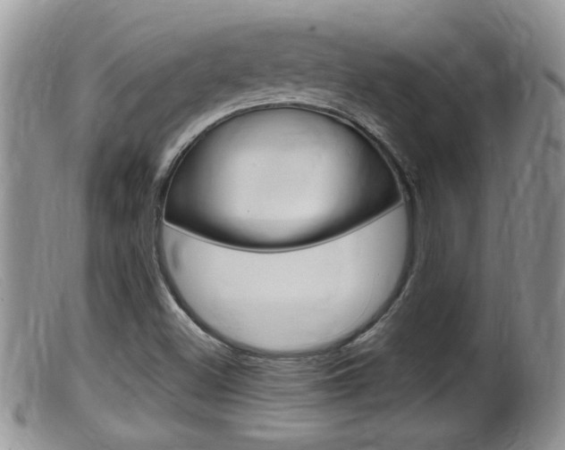 X0000099531500200805160712