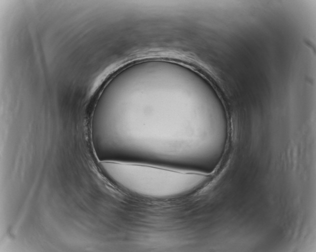 X0000099531501200805160712