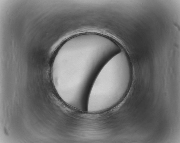 X0000099531502200805160712