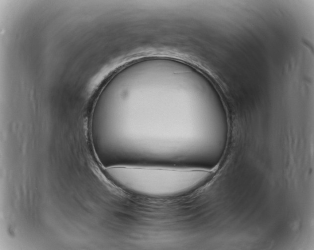 X0000099531503200805160712