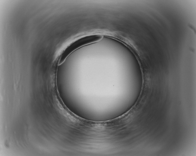 X0000099531504200805160712