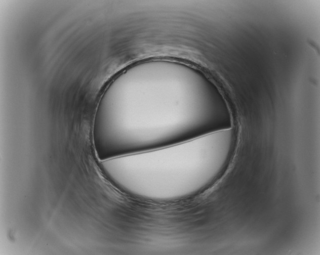 X0000099531505200805160713