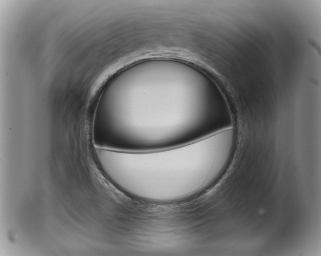 X0000099531506200805160713