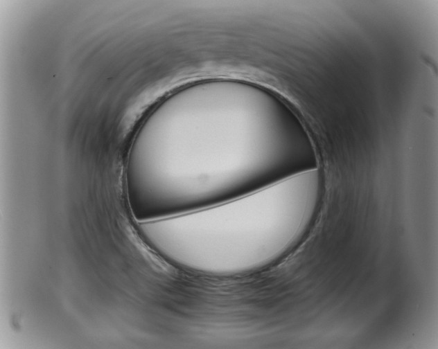 X0000099531507200805160713