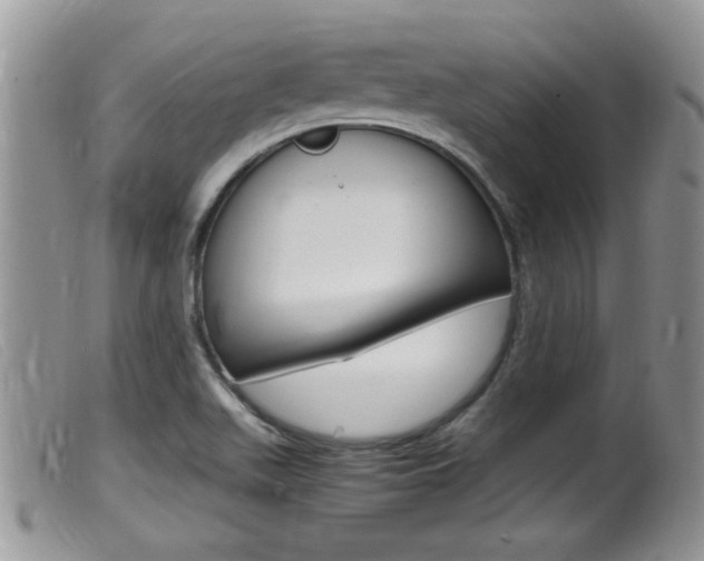 X0000099531511200805160713