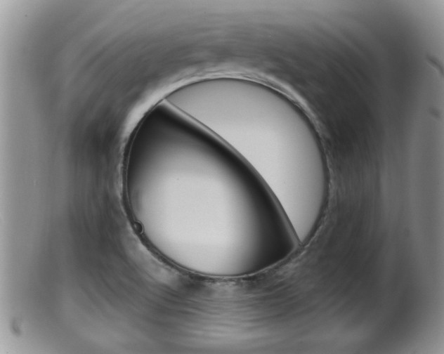 X0000099531512200805160713