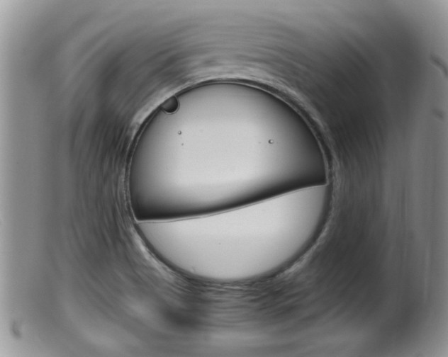 X0000099531513200805160713