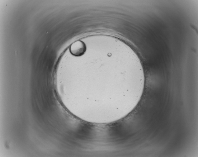X0000099531514200805160713