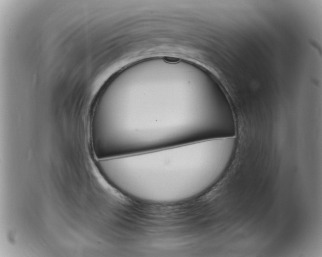 X0000099531515200805160713