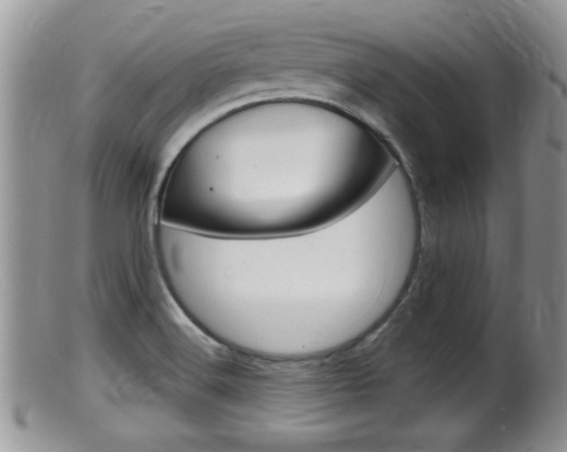 X0000099531516200805160713