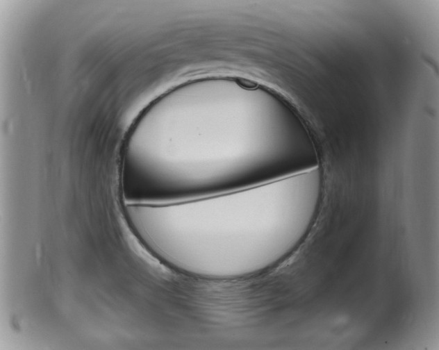 X0000099531518200805160713