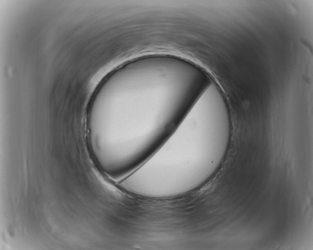 X0000099531519200805160713