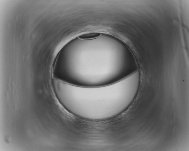 X0000099531520200805160713