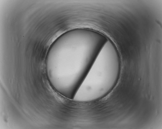 X0000099531521200805160713