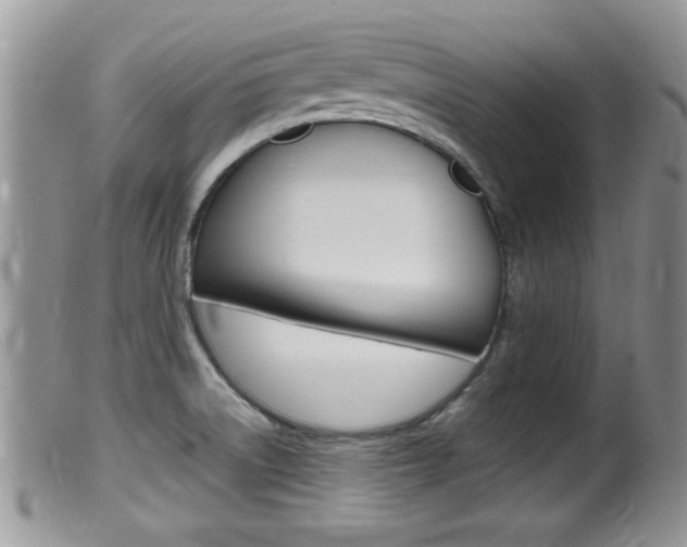 X0000099531522200805160713