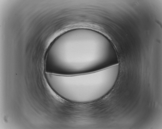 X0000099531523200805160713