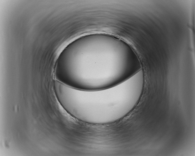X0000099531524200805160713