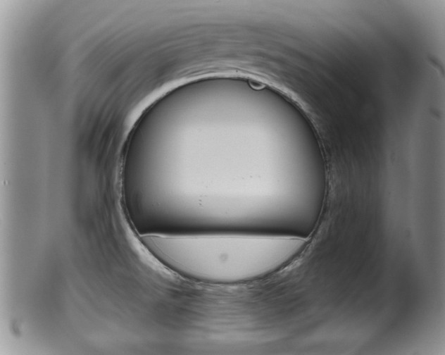 X0000099531526200805160713