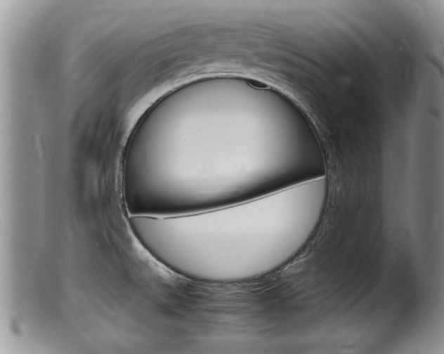 X0000099531527200805160713