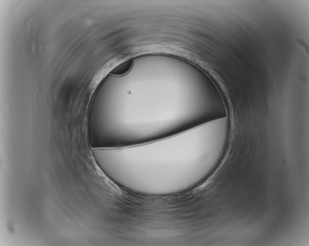 X0000099531529200805160713
