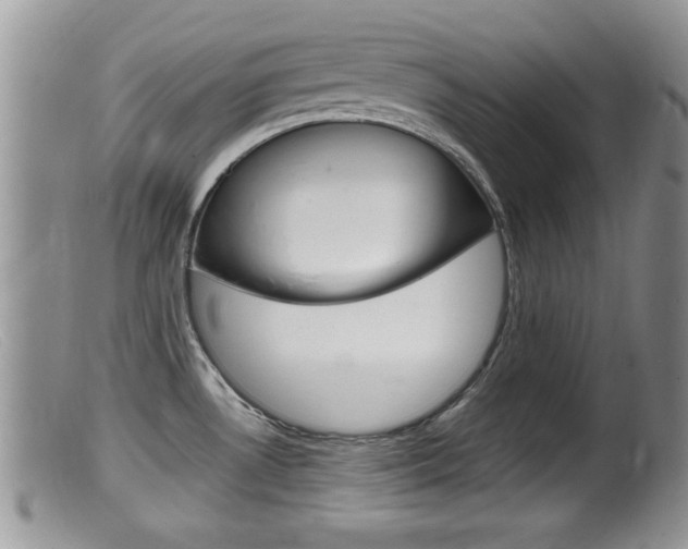 X0000099531530200805160713
