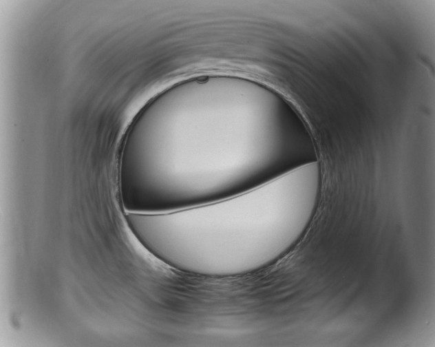 X0000099531531200805160713