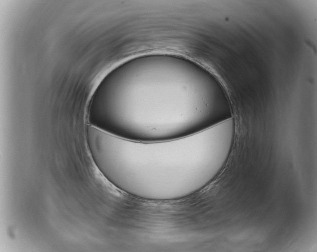 X0000099531532200805160713