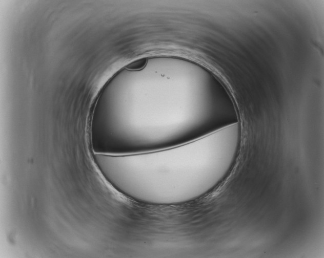 X0000099531533200805160713